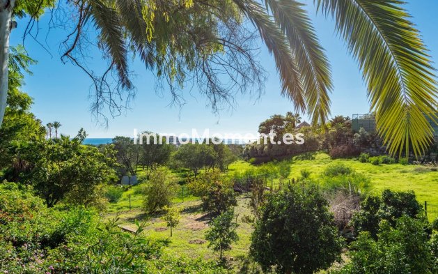 Wiederverkauf - Villa - Marbella - Nueva Andalucía