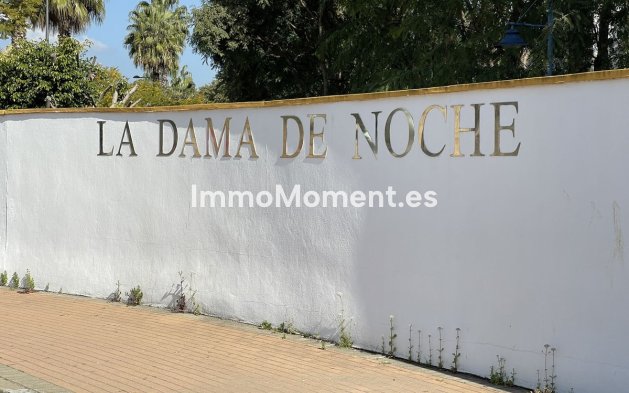 Reventa - Apartamento - Marbella - Nueva Andalucía