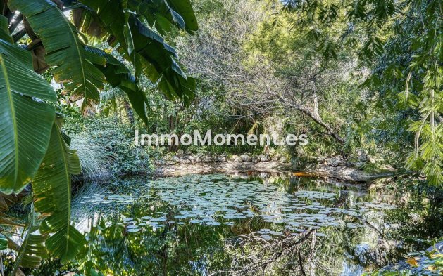 Reventa - Apartamento - Marbella - Guadalmina Baja
