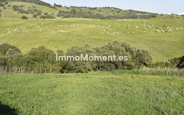 Revente - Maison de campagne - Casares - Casares Centro