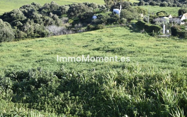 Revente - Maison de campagne - Casares - Casares Centro