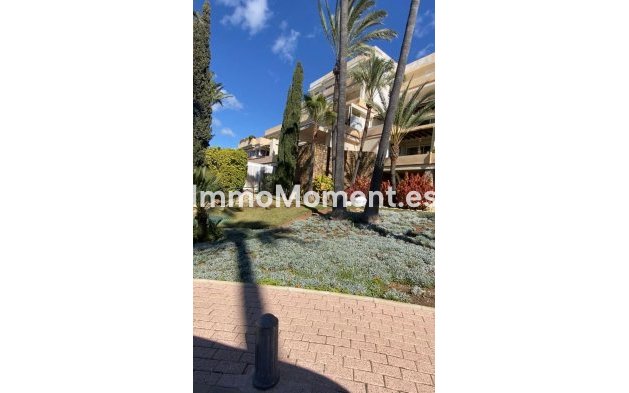 Bestaande woning - Appartement - Marbella - Nueva Andalucía