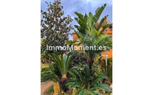 Bestaande woning - Appartement - Estepona  - Estepona Centro