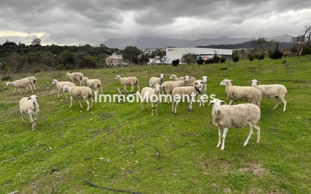 Bestaande woning - Villa - Estepona  - Estepona Centro