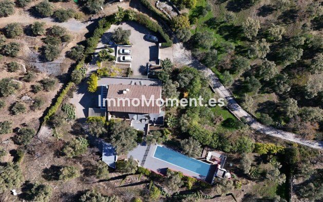 Resale - Villa - Inland  - Monda