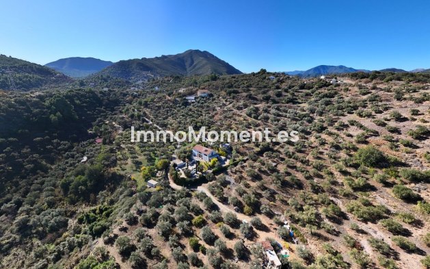 Resale - Villa - Inland  - Monda