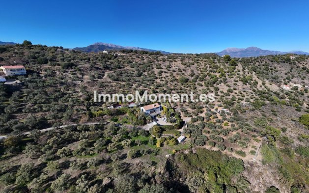 Resale - Villa - Inland  - Monda