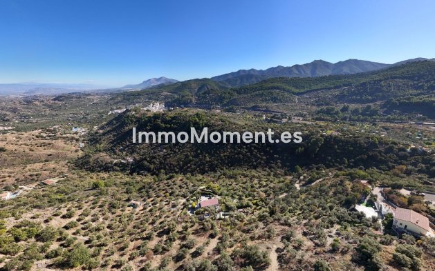 Resale - Villa - Inland  - Monda