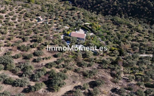 Resale - Villa - Inland  - Monda