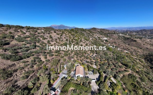 Resale - Villa - Inland  - Monda