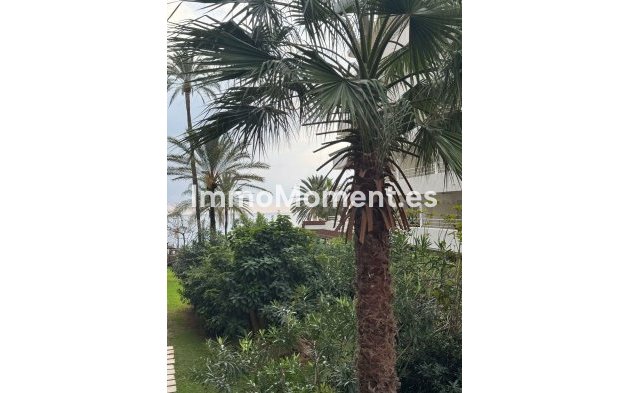 Bestaande woning - Appartement - Marbella - Marbella Centro