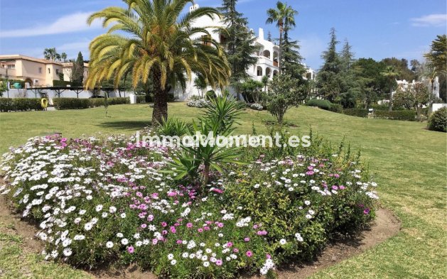 Revente - Appartement - Marbella - Nueva Andalucía