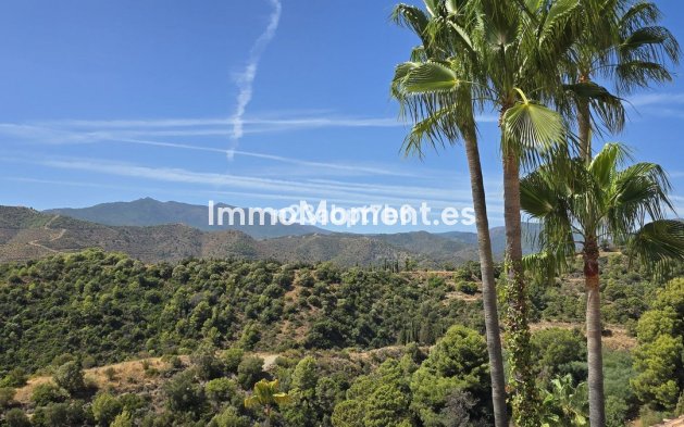 Revente - Maison mitoyenne - Intérieur                       - Istán