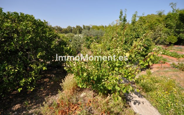 Revente - Villa - Casares - Casares Playa