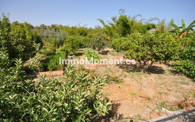 Revente - Villa - Casares - Casares Playa