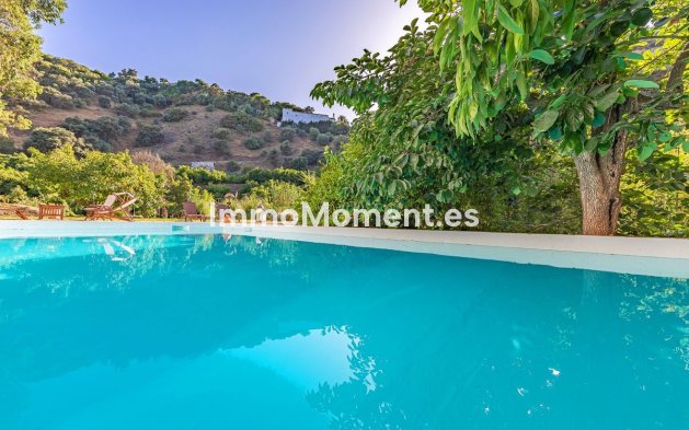 Revente - Maison de campagne - Intérieur                       - Coín