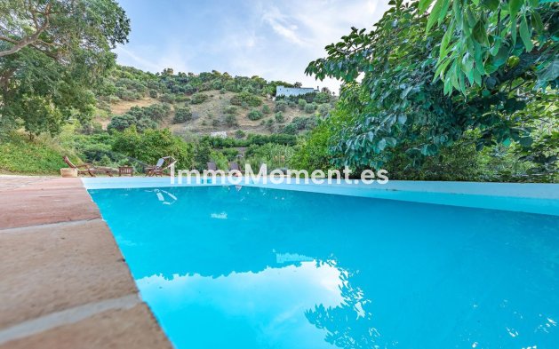 Revente - Maison de campagne - Intérieur                       - Coín