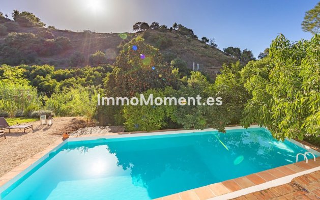 Revente - Maison de campagne - Intérieur                       - Coín