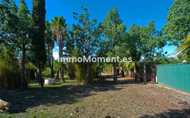 Wiederverkauf - Landhaus - Estepona  - Estepona Centro