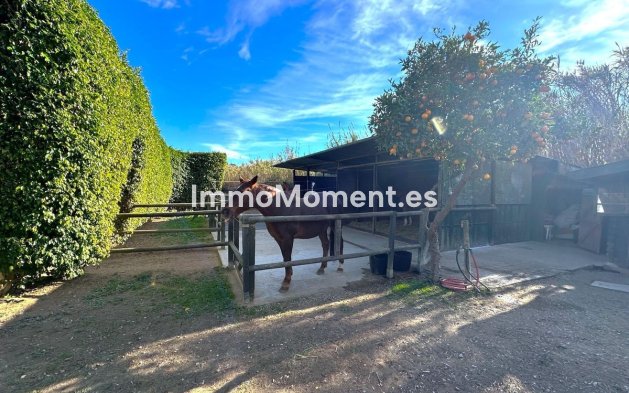 Wiederverkauf - Landhaus - Estepona  - Estepona Centro