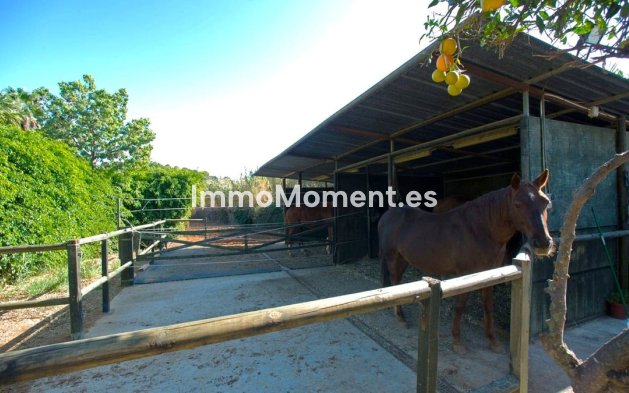 Wiederverkauf - Landhaus - Estepona  - Estepona Centro