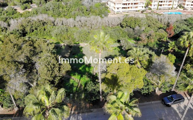 Reventa - Terreno - Sotogrande