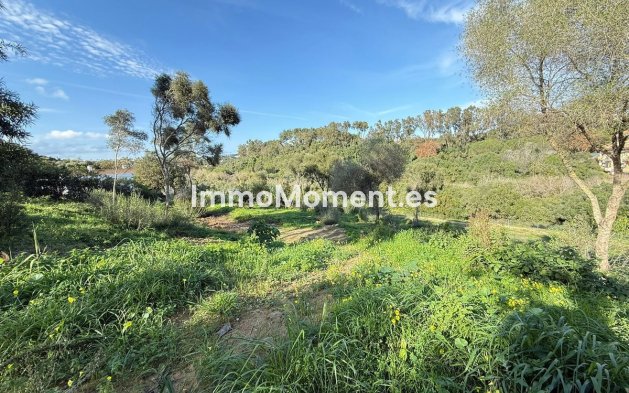 Reventa - Terreno - Sotogrande