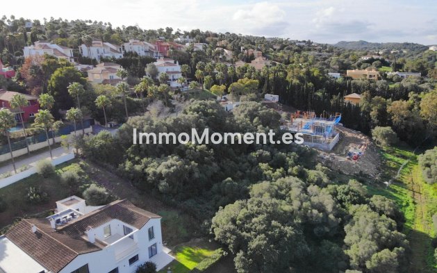 Reventa - Terreno - Sotogrande