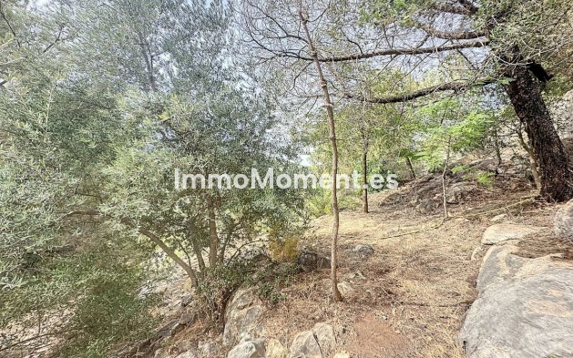 Revente - Maison de campagne - Intérieur                       - Monda