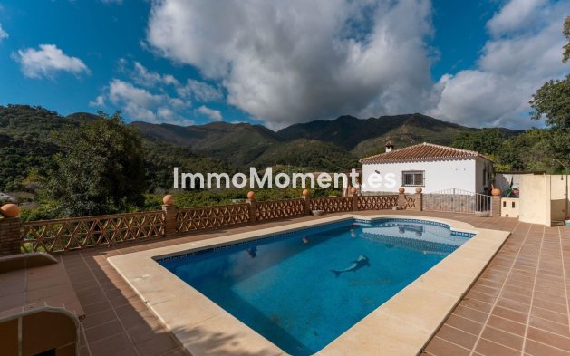 Revente - Maison de campagne - Intérieur                       - Coín