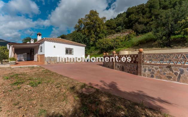 Revente - Maison de campagne - Intérieur                       - Coín