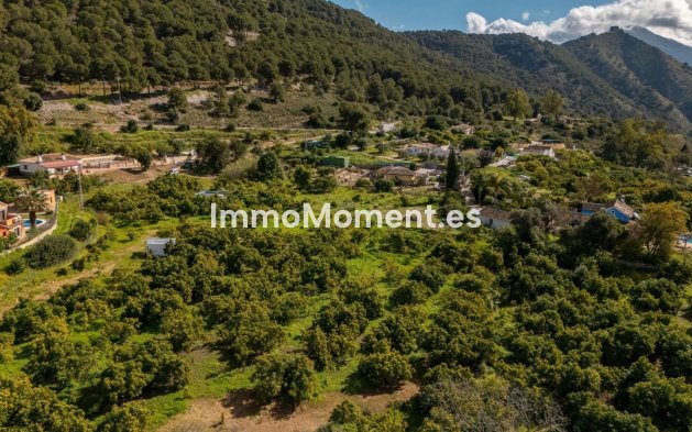 Revente - Maison de campagne - Intérieur                       - Coín