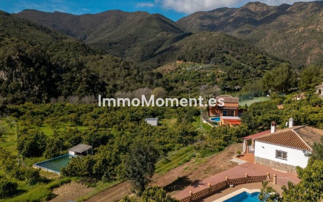 Revente - Maison de campagne - Intérieur                       - Coín