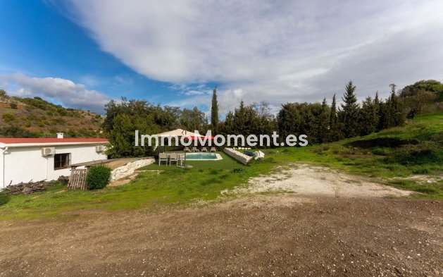 Revente - Maison de campagne - Intérieur                       - Monda