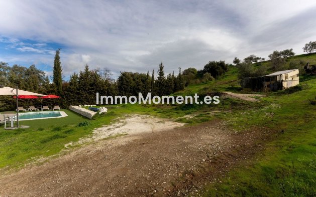 Revente - Maison de campagne - Intérieur                       - Monda
