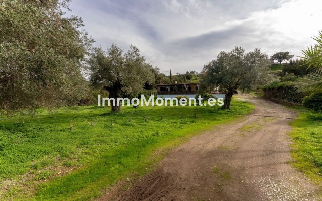 Revente - Maison de campagne - Intérieur                       - Monda