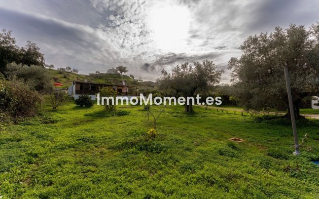 Revente - Maison de campagne - Intérieur                       - Monda