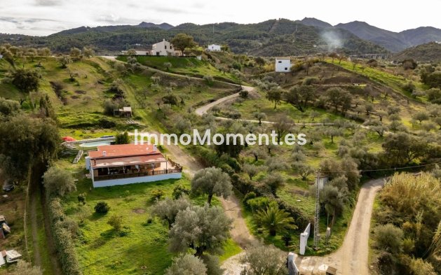 Revente - Maison de campagne - Intérieur                       - Monda