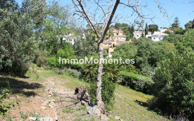 Bestaande woning - Villa - Sotogrande - Sotogrande Costa