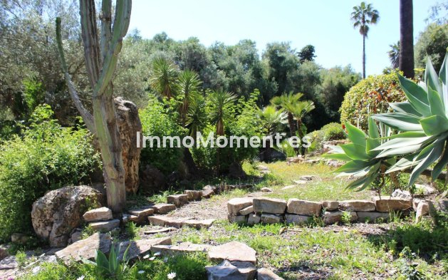 Bestaande woning - Villa - Sotogrande - Sotogrande Costa