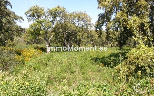 Wiederverkauf - Land - Sotogrande - San Roque Club