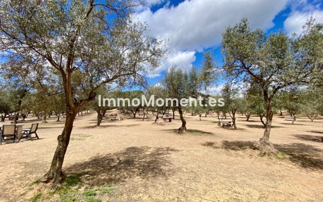 Wiederverkauf - Wohnung - Mijas - Mijas Costa