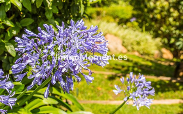 Reventa - Villa - Benahavís - La Zagaleta