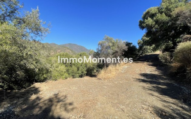 Reventa - Villa - Interior  - Istán