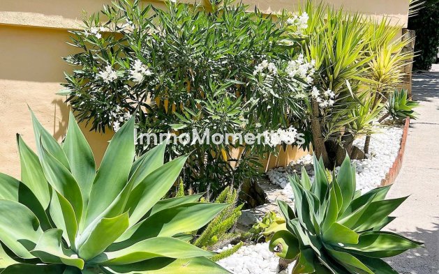 Bestaande woning - Appartement - Mijas - Calahonda