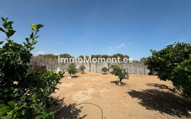 Revente - Villa - Guardamar del Segura - Guardamar del Segura Centro