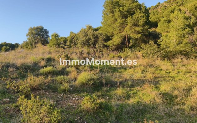 Bestaande woning - Grond - Mijas - Mijas Centro