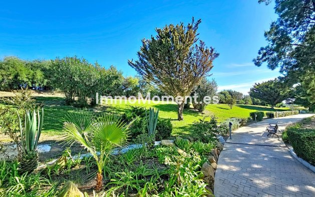 Revente - Appartement - Casares - Casares Centro