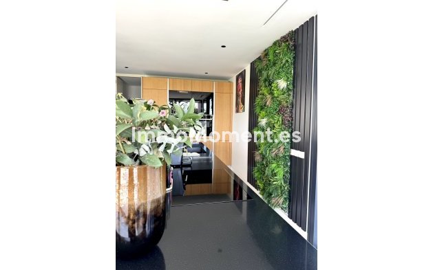 Revente - Villa - Marbella - Nagüeles