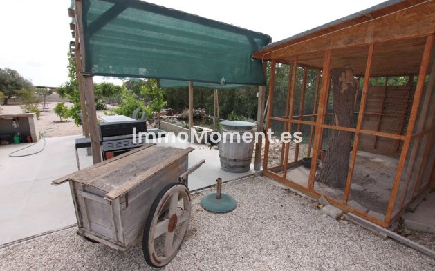 Revente - Maison de campagne - Crevillente - Crevillente - Crevillent Centro